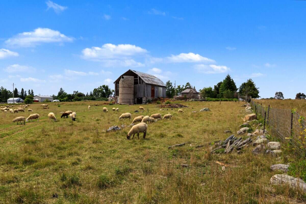 98-Acre Farm with Historic Farmhouse 