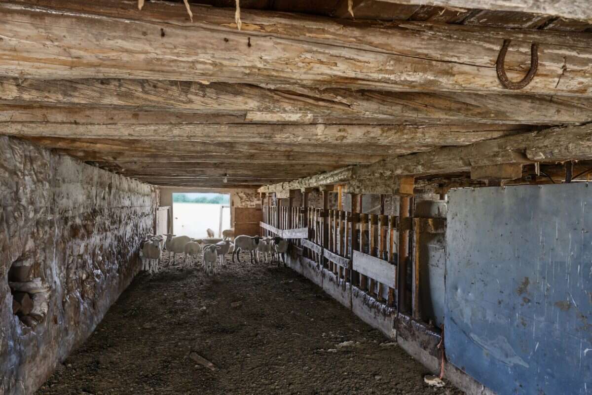 98-Acre Farm with Historic Farmhouse 