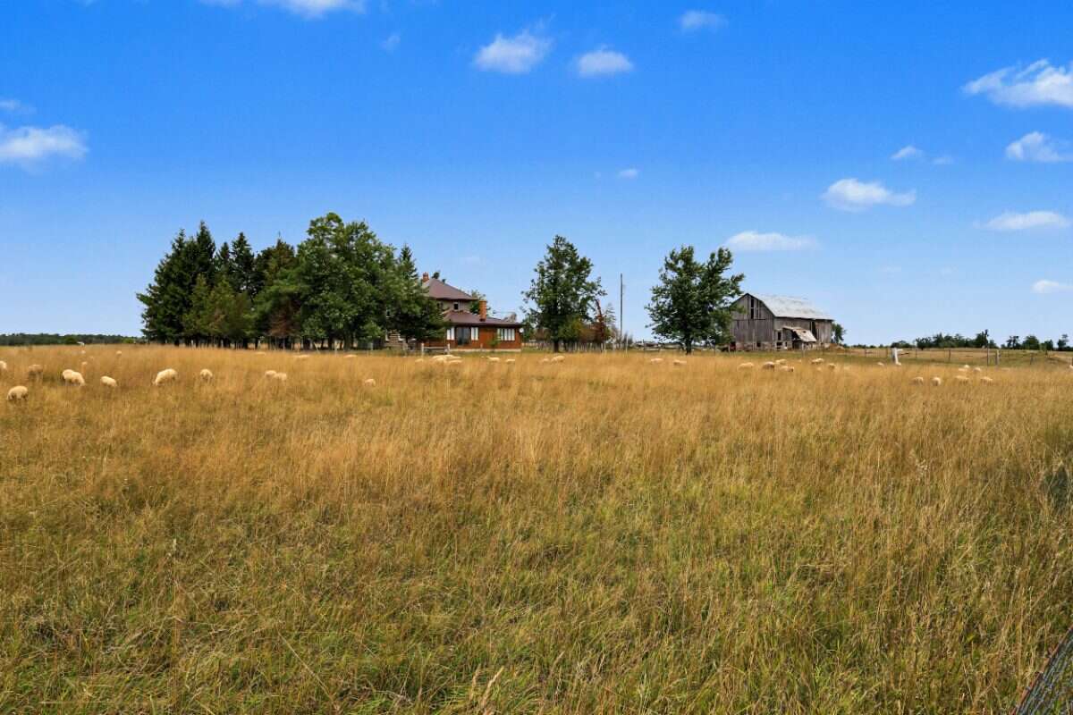 98-Acre Farm with Historic Farmhouse 