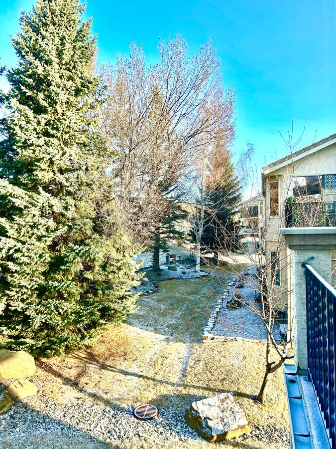 Backyard View via Balcony