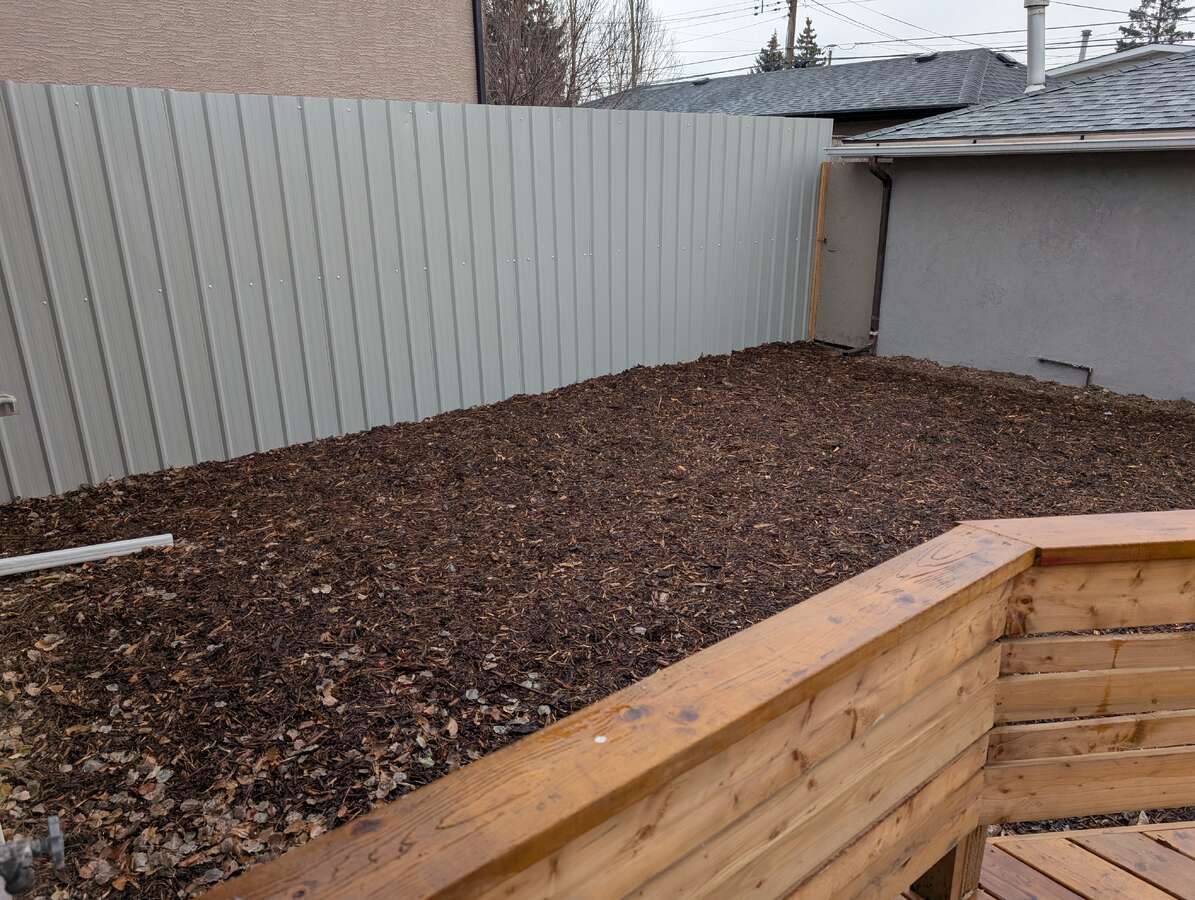 Back yard