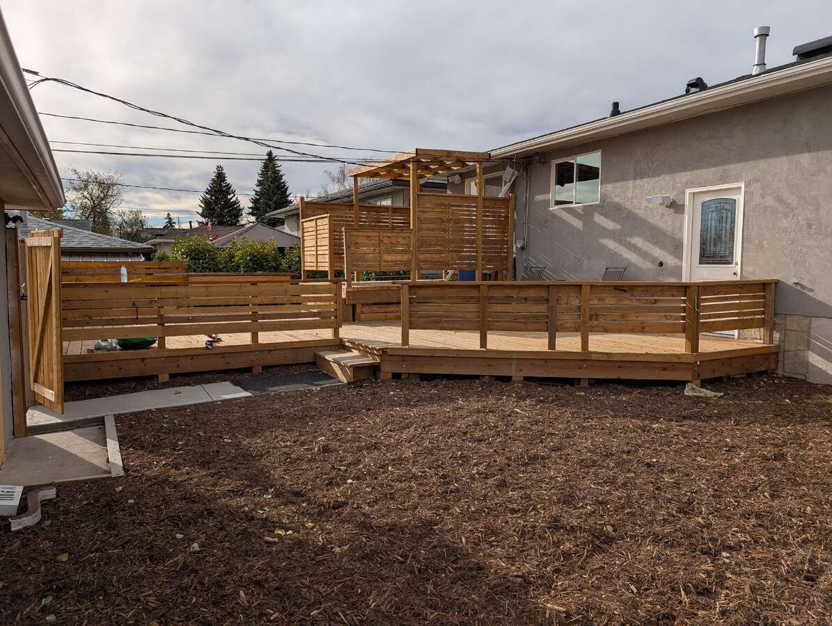 Back yard