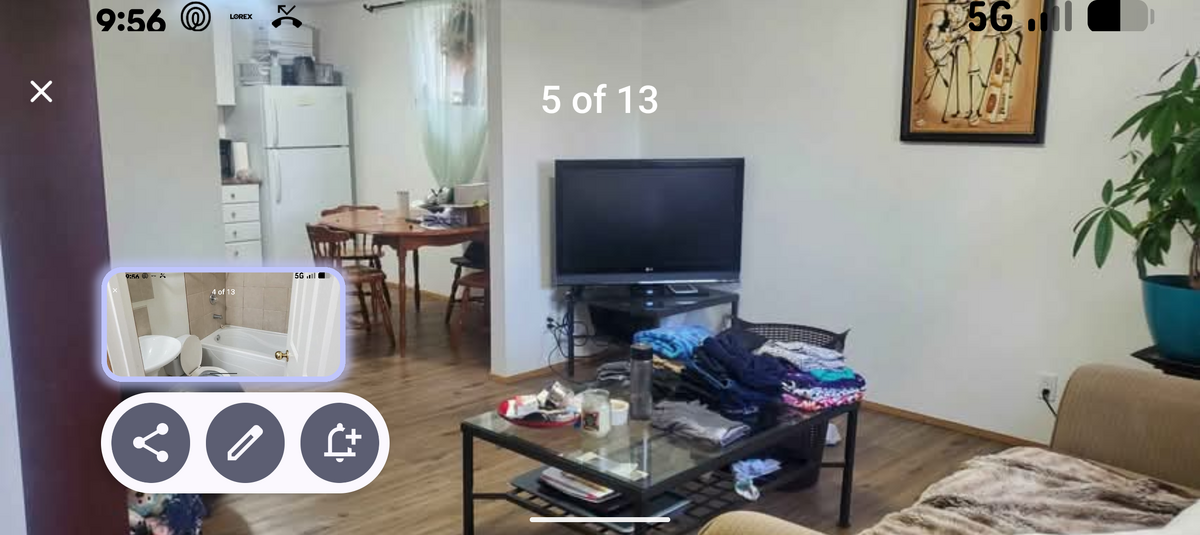 Living room in one bedroom basement suite
