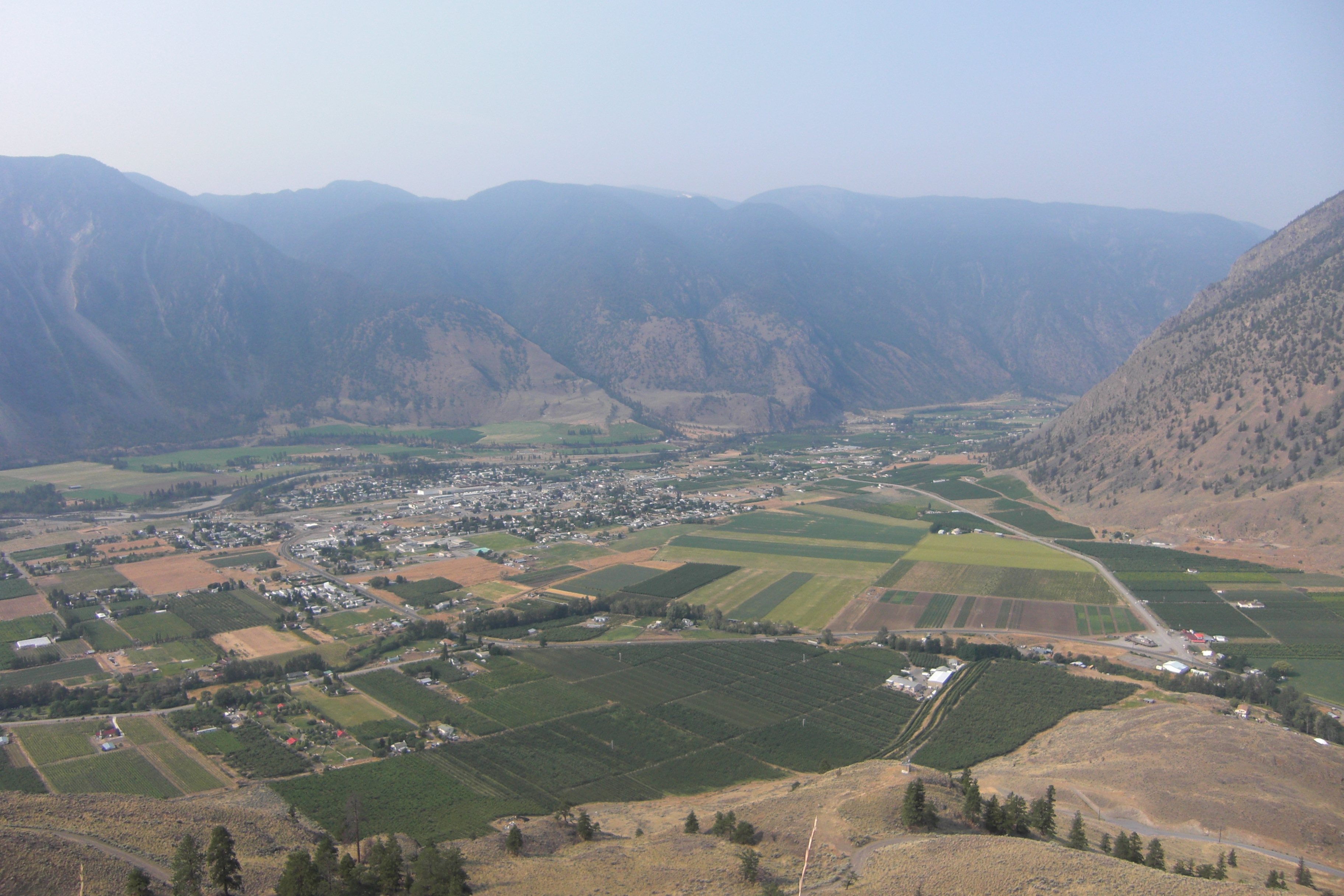 Organic Cherry Farm