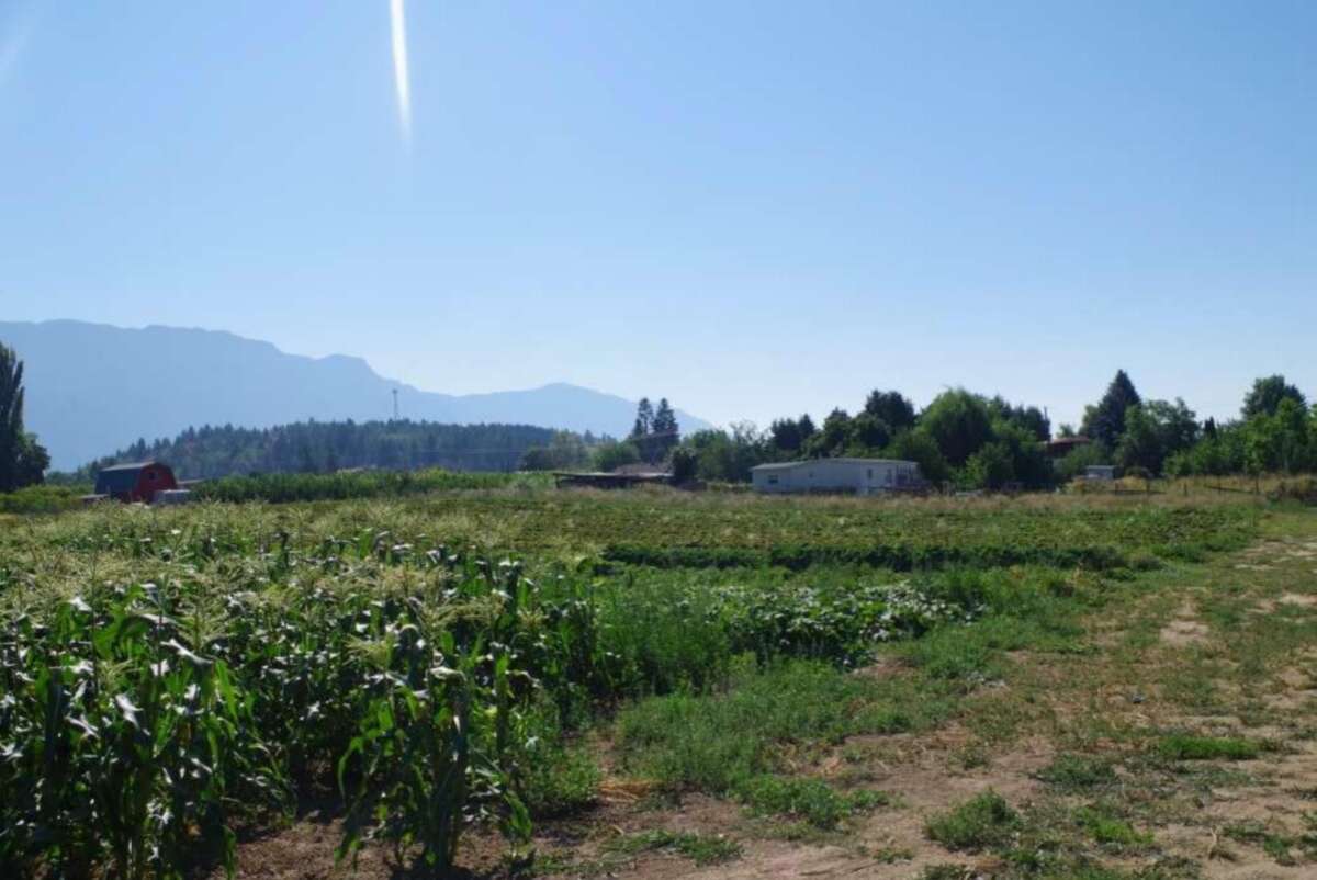Prime 10 ACRE FARMLAND BORDERING CRESTON BC