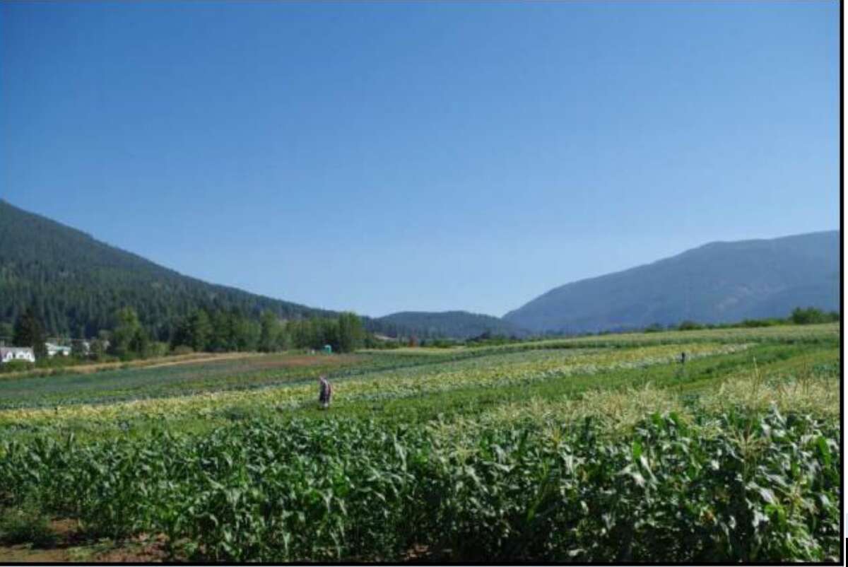 Prime 10 ACRE FARMLAND BORDERING CRESTON BC