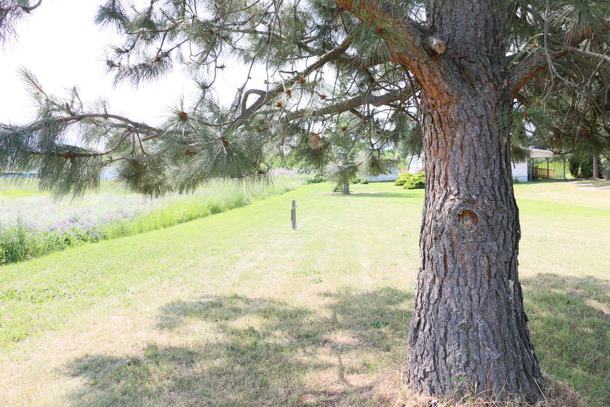 Prime 10 ACRE FARMLAND BORDERING CRESTON BC