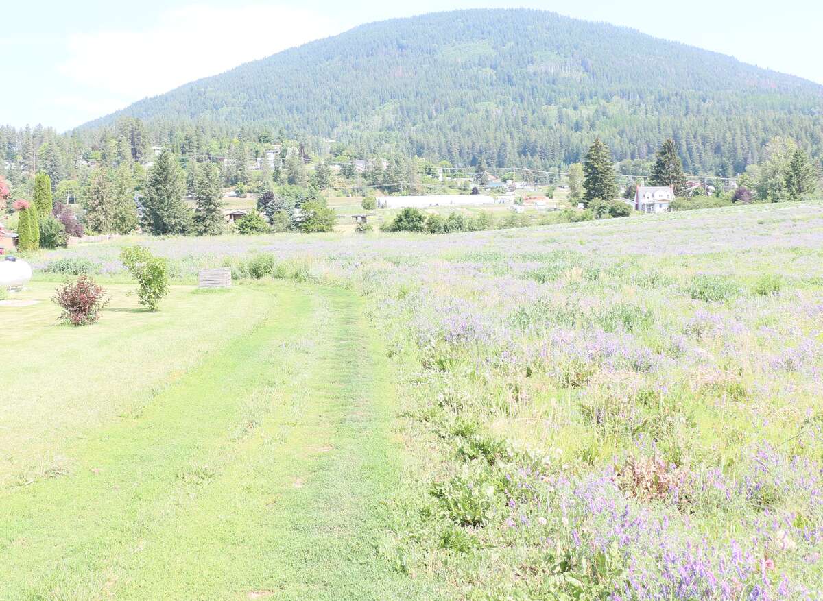 Prime 10 ACRE FARMLAND BORDERING CRESTON BC