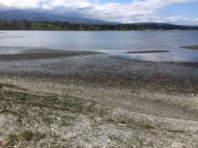 7 minute walk to beach...Easy access