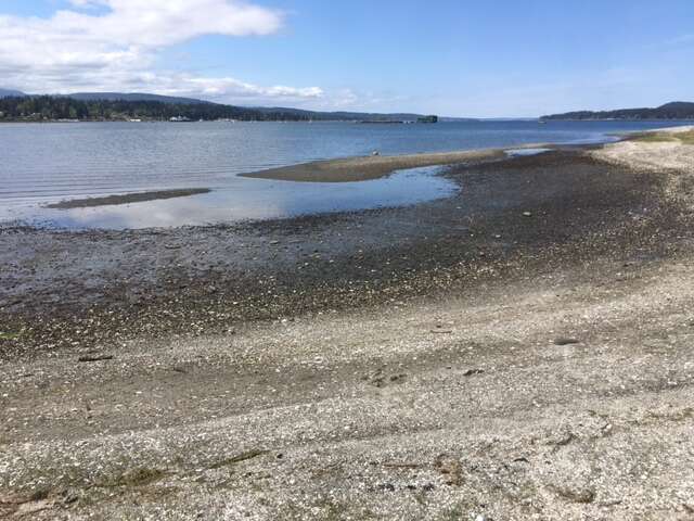 7 minute walk to beach...Easy access