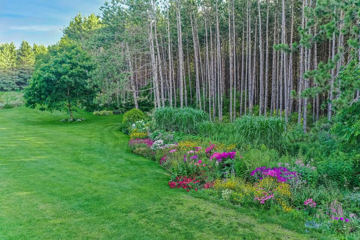 Garden View from House
