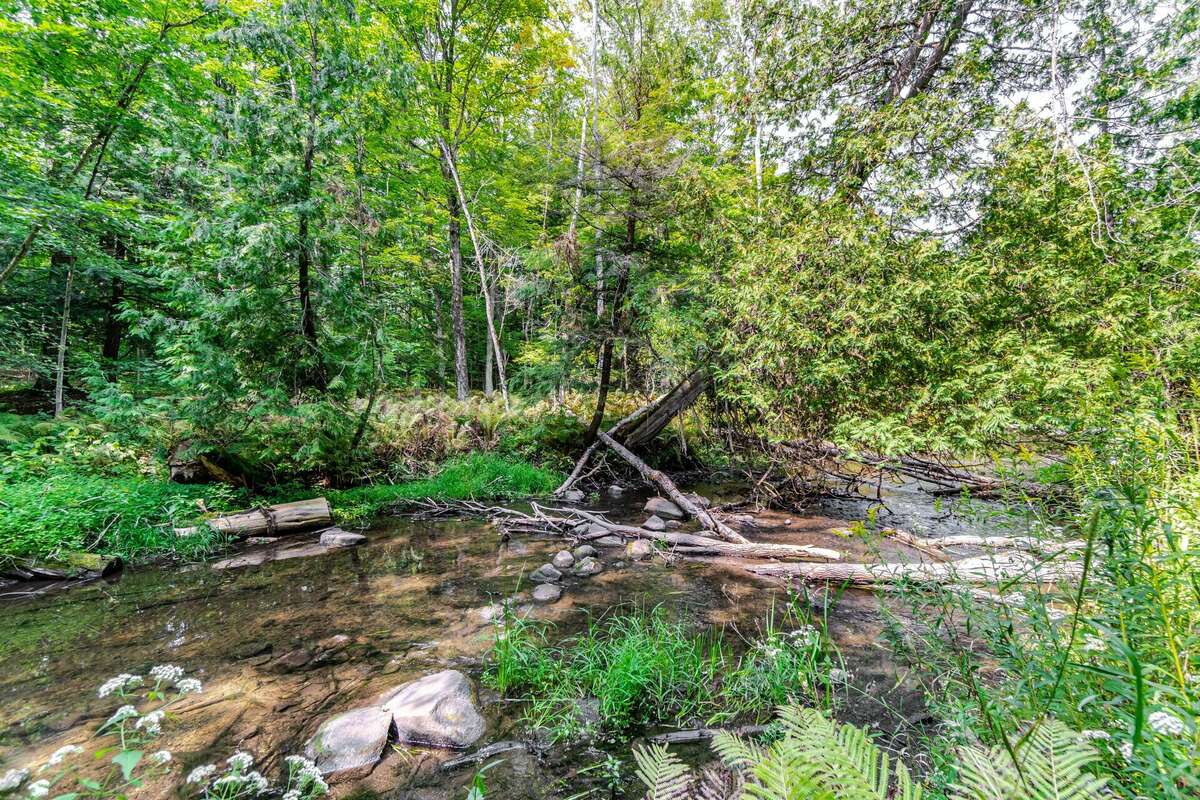 1357 feet of Centreville Creek