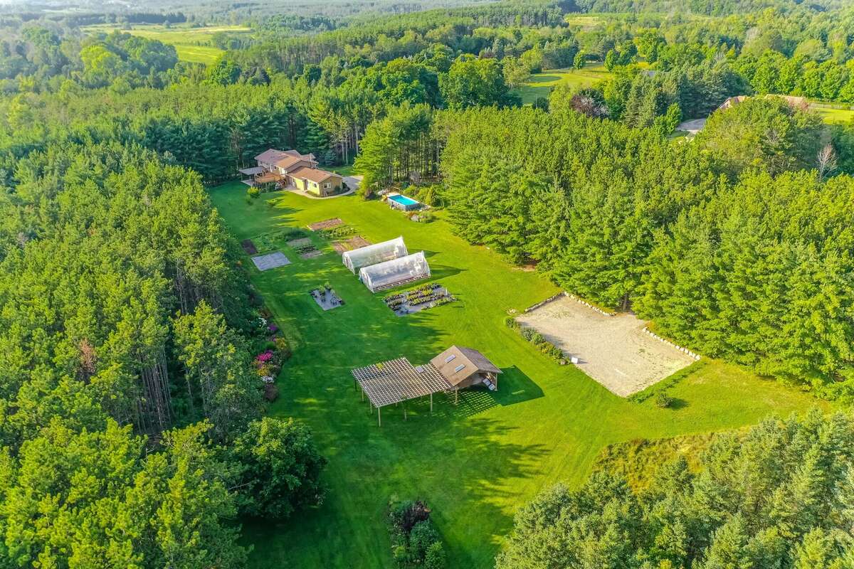 Overhead View of Open Clearing
