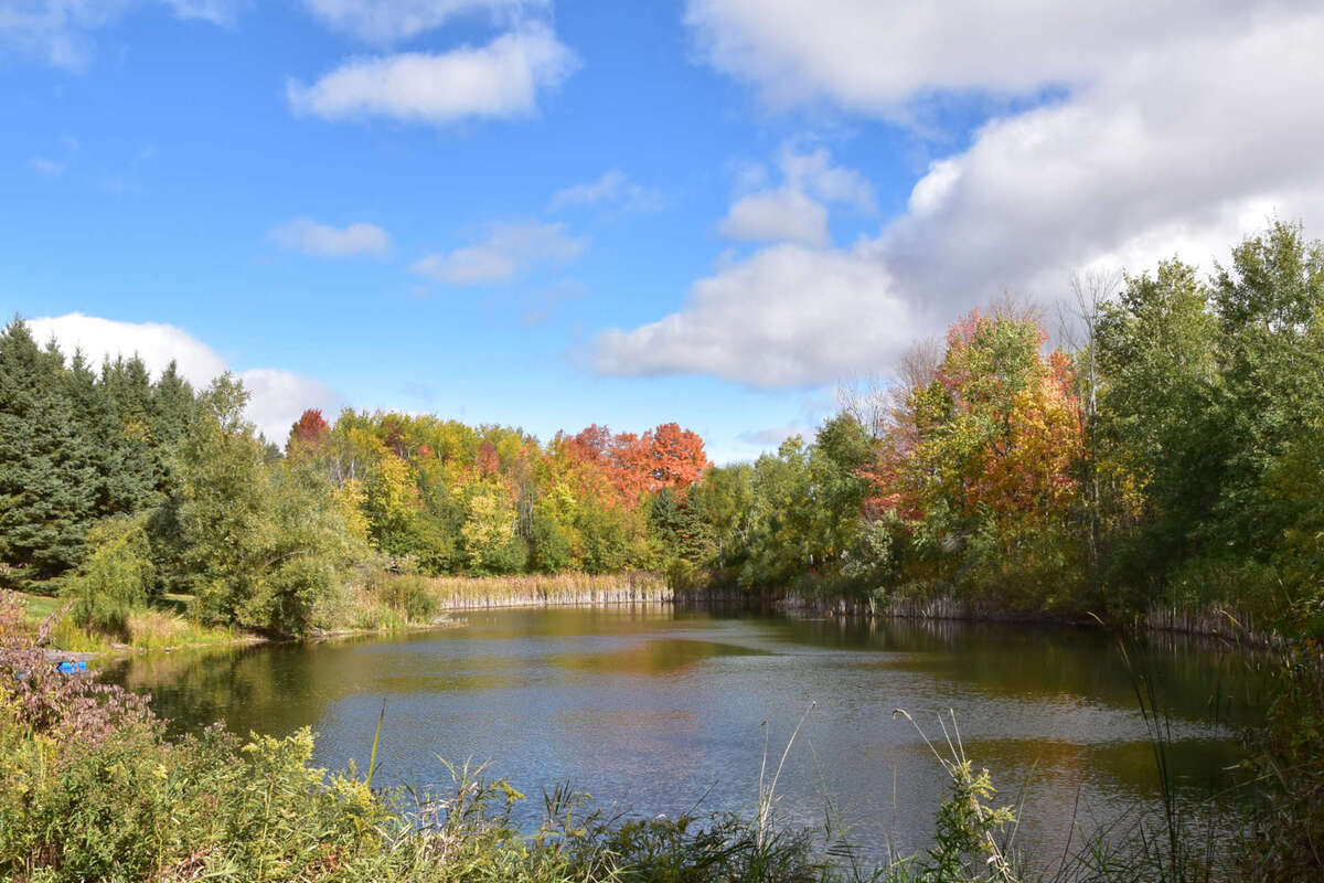 Pond with Trails around it
