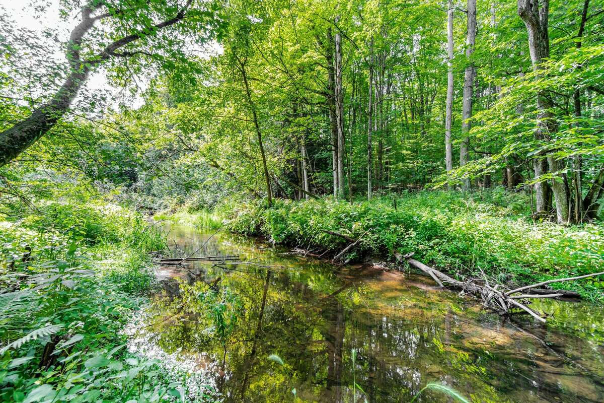 1357 feet of Centreville Creek