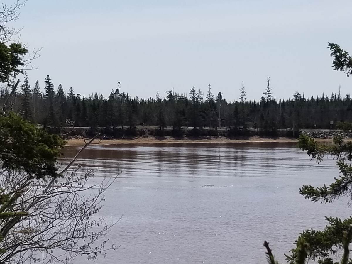 Vacant Land For Sale in Bass River, NS