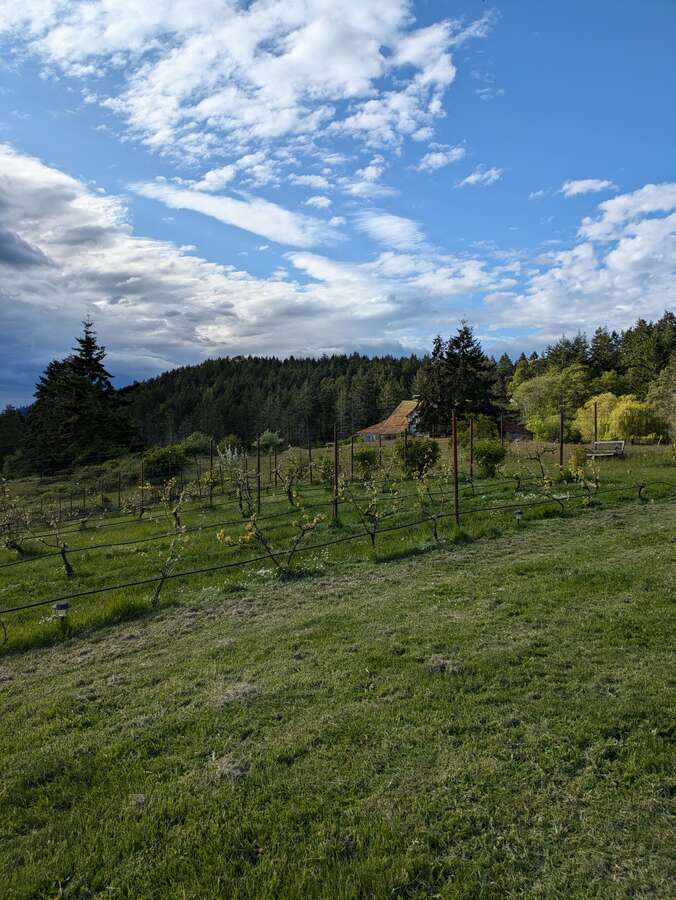 2 titles 1 price 20 acres on Mayne Is, below value