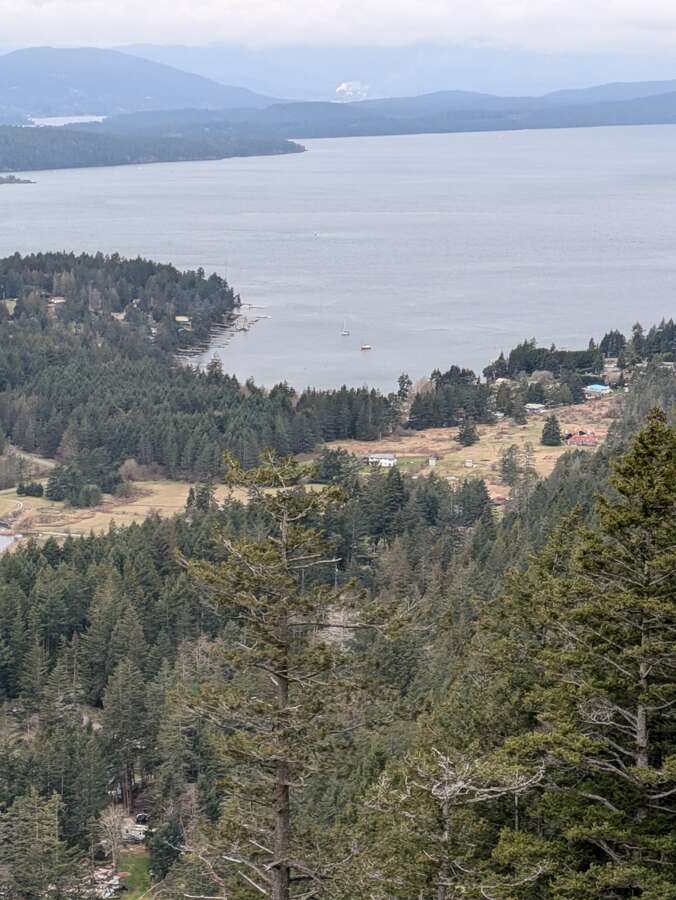 2 titles 1 price 20 acres on Mayne Is, below value