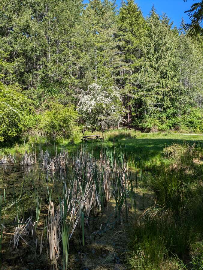 2 titles 1 price 20 acres on Mayne Is, below value