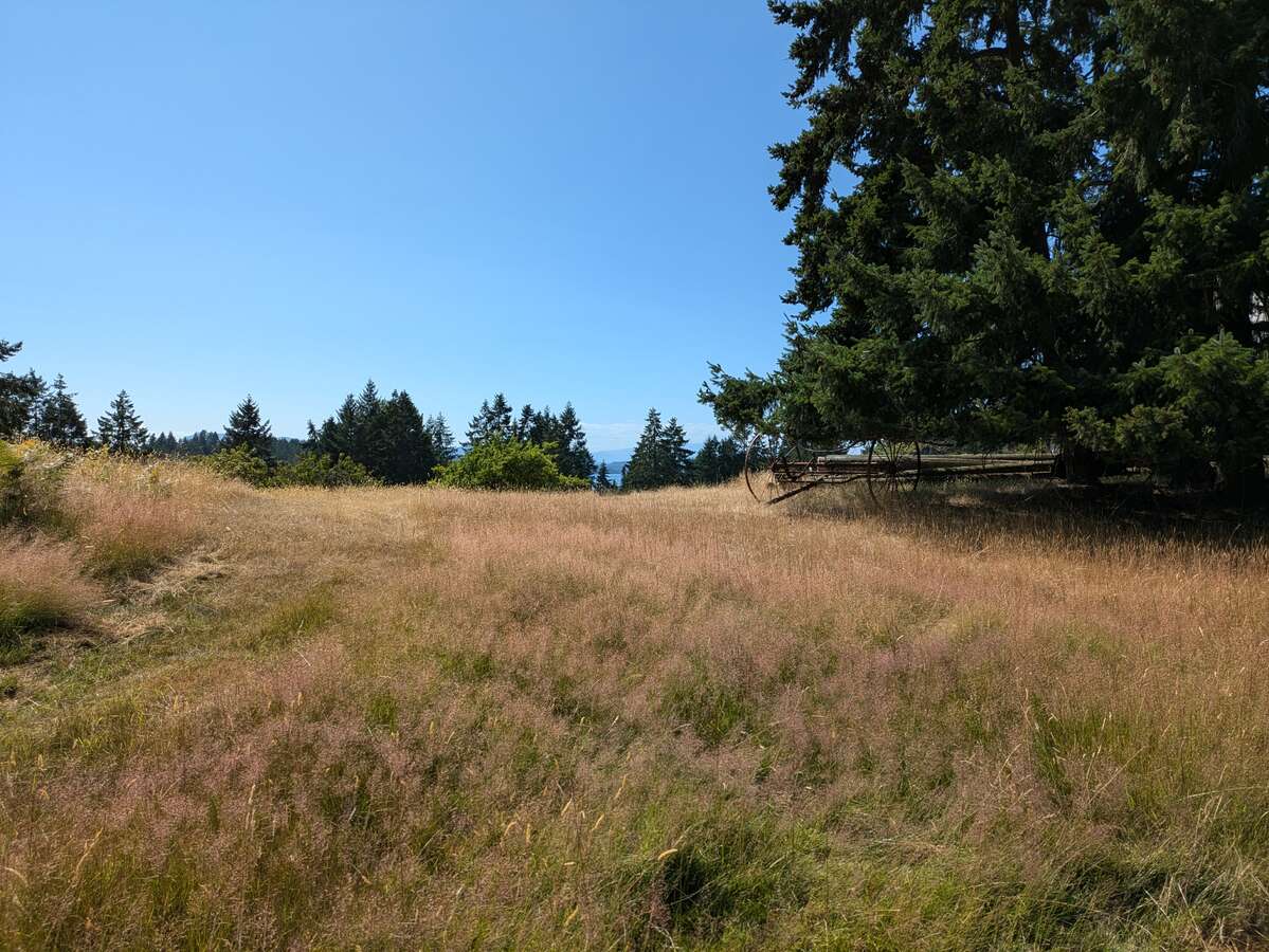 2 titles 1 price 20 acres on Mayne Is, below value