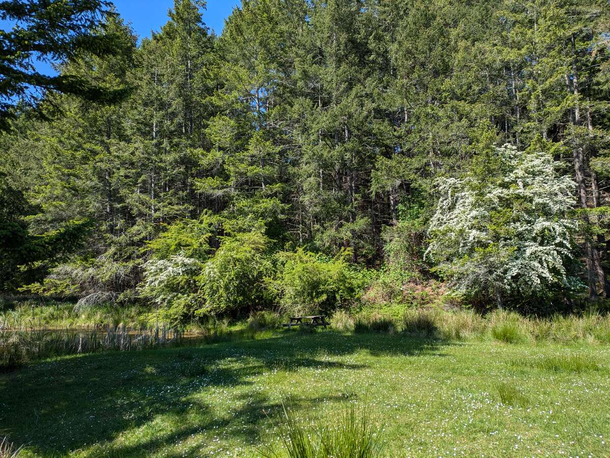 2 titles 1 price 20 acres on Mayne Is, below value