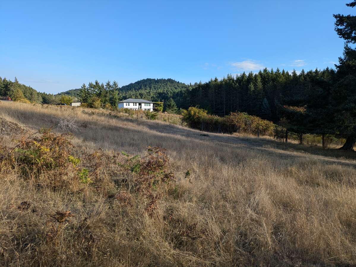 2 titles 1 price 20 acres on Mayne Is, below value