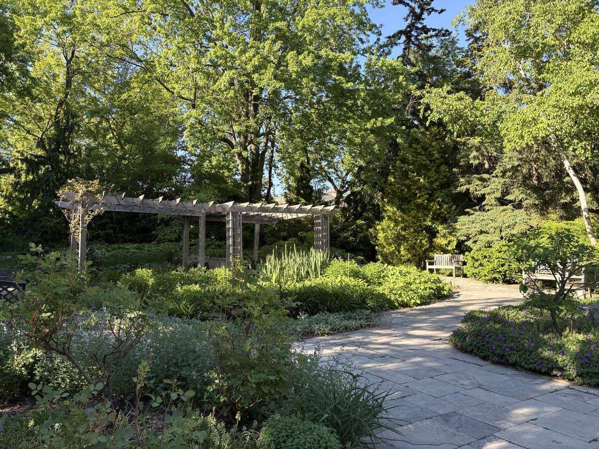 Front Perennial Garden (Spring)