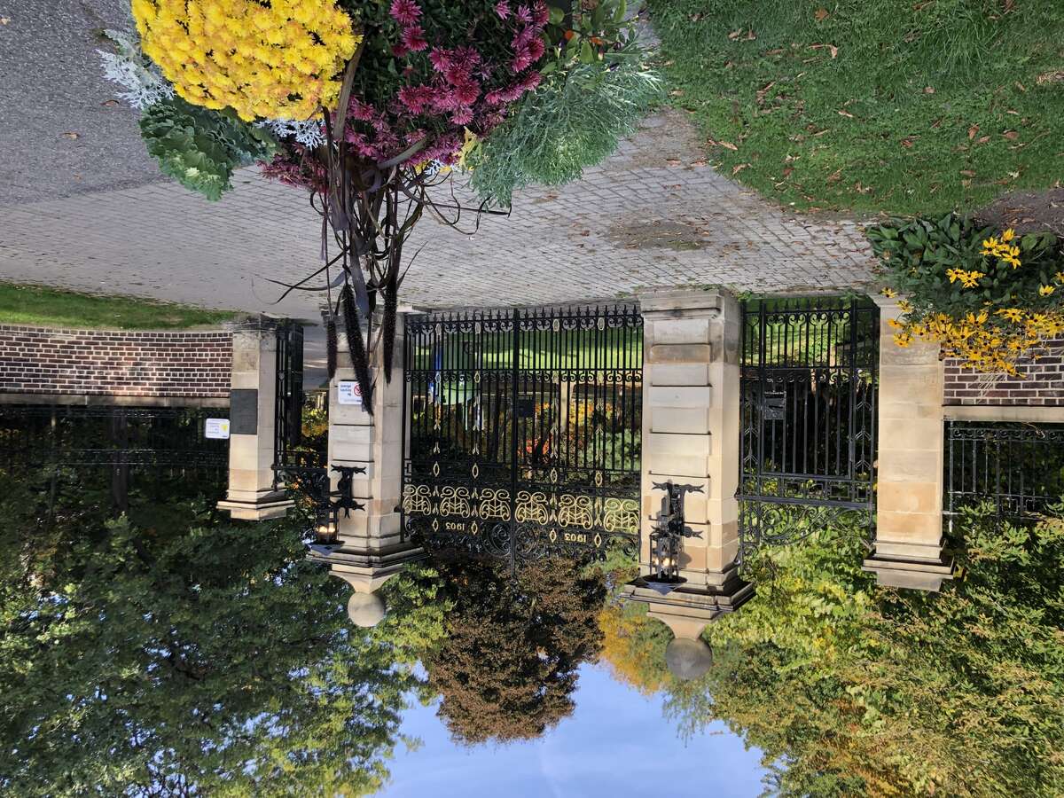 Craighleigh Gardens (nearby)