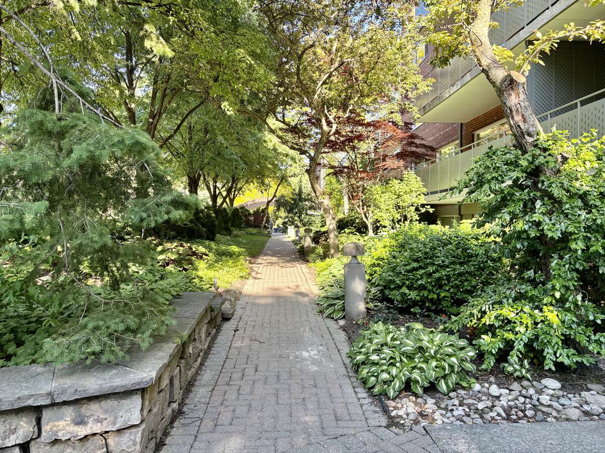 Front path