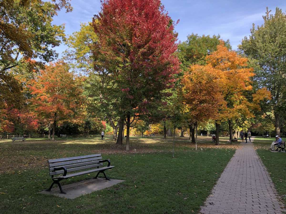 Craigleigh Gardens (in the fall)