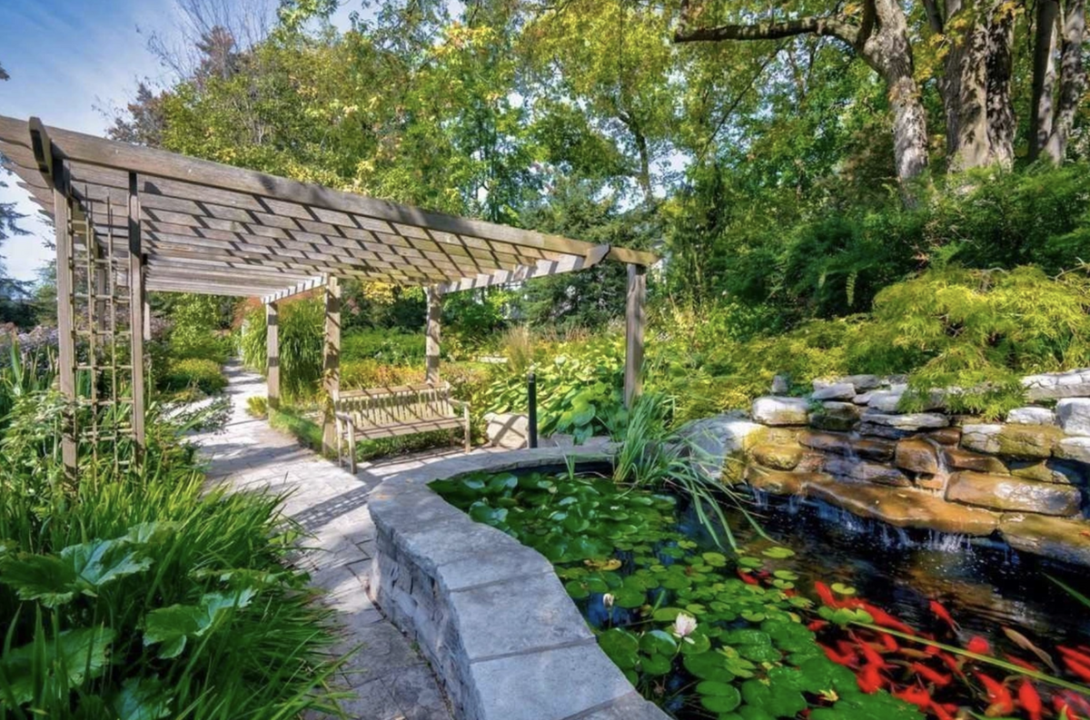 Fish Pond