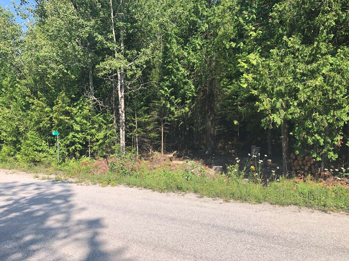 Clearing started at 6 Dunn Access (between trees - 10m)