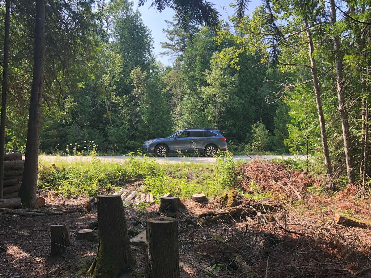 Looking outward from Access point to road, noting lower lot elevation than Dunn