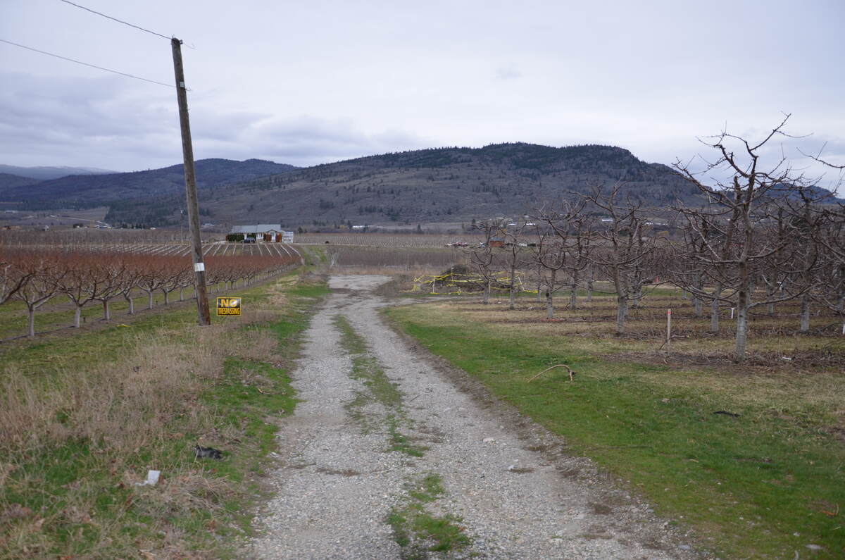 Vacant Land For Sale in Oliver, BC