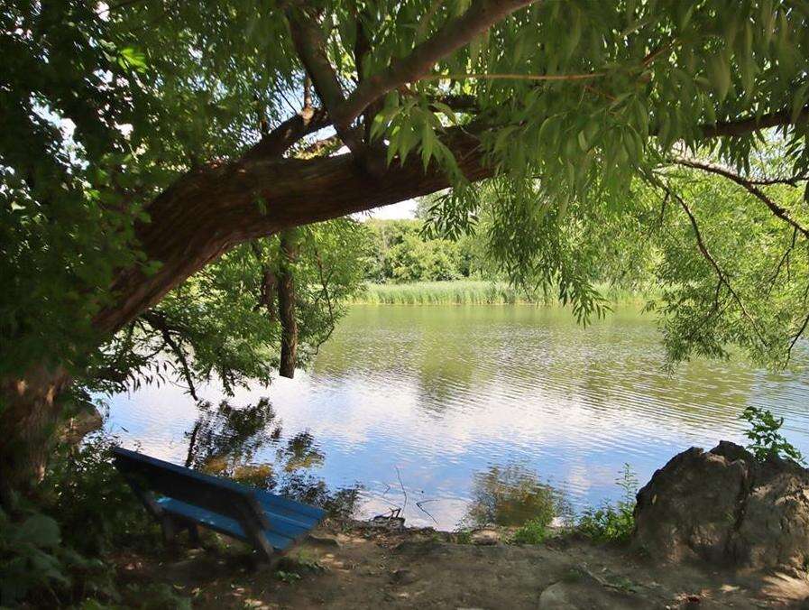 Luxury 2Bdrm+2bath Apartments by Rideau River
