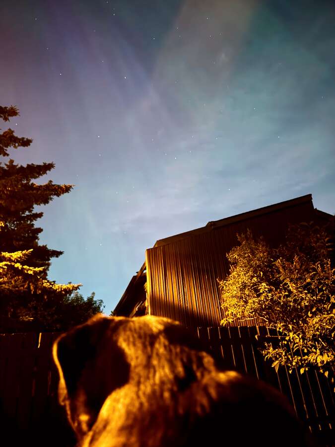 NORTHERN LIGHTS FROM THE BACKYARD