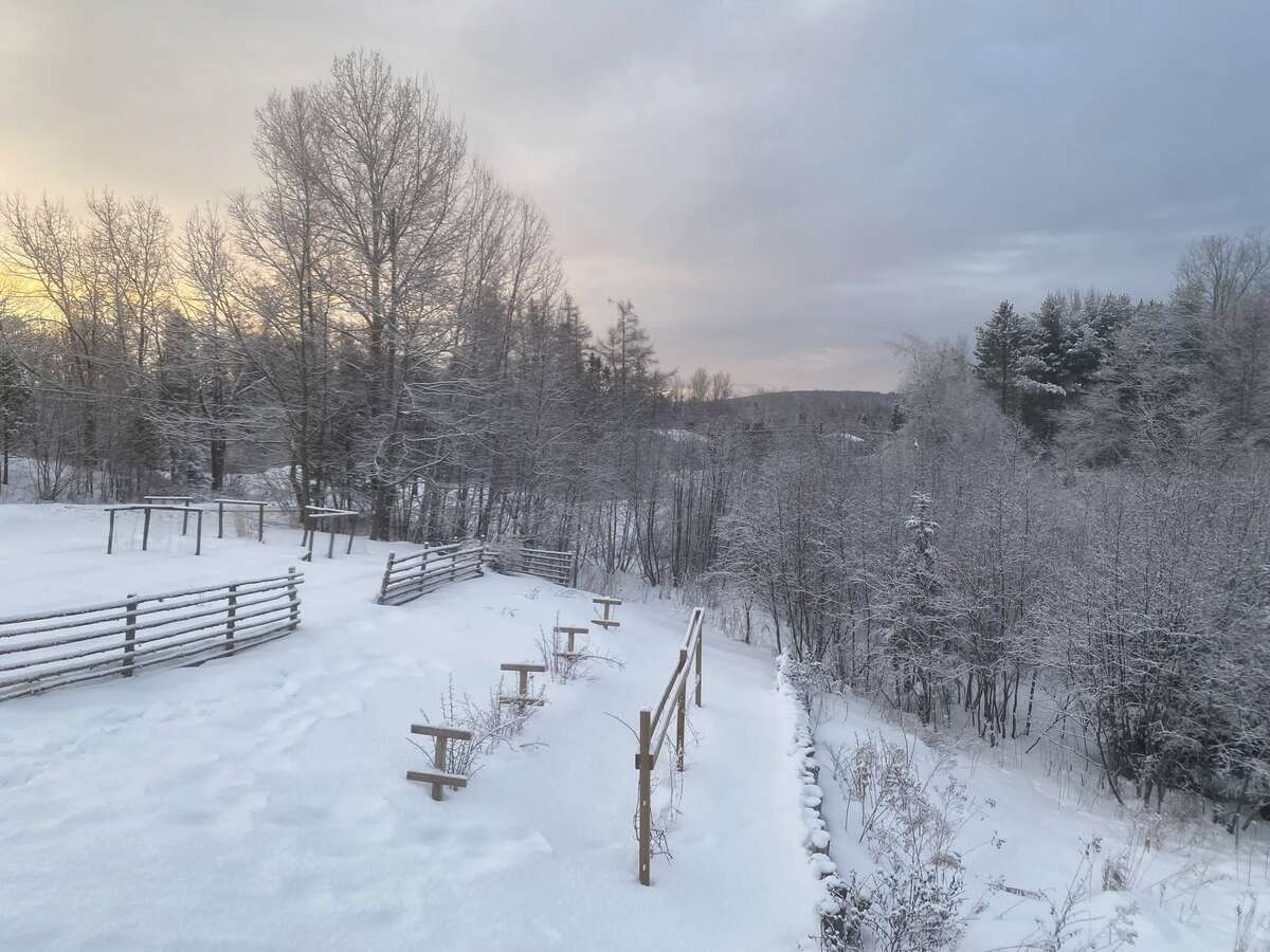 Orchard / Garden, February 2026