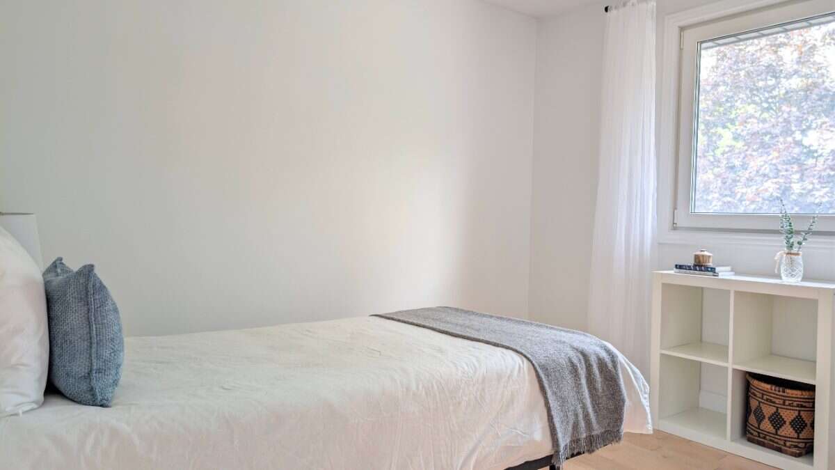Braemar Park Executive Home | 3+1 Bedrooms | Pool