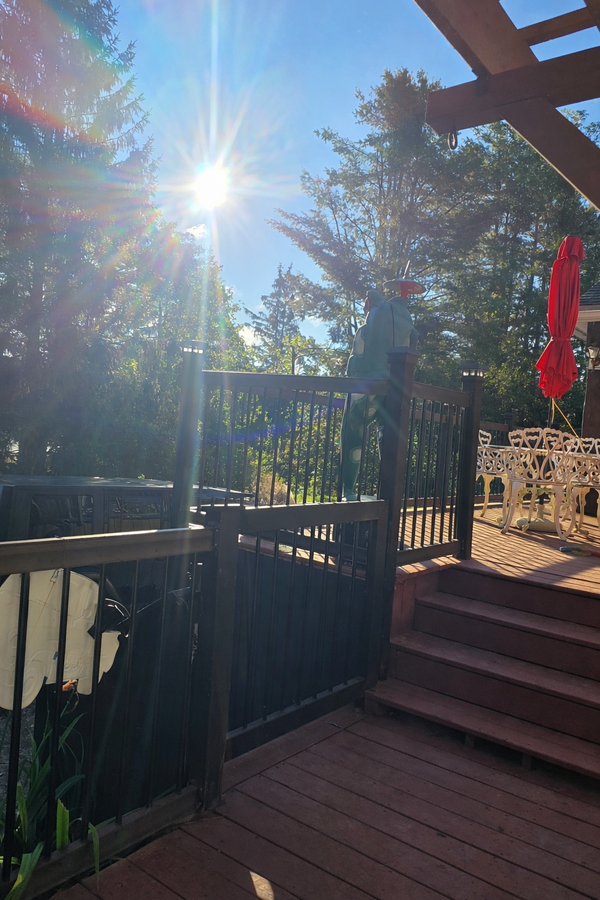 Morning sun, perfect for coffee on the deck.