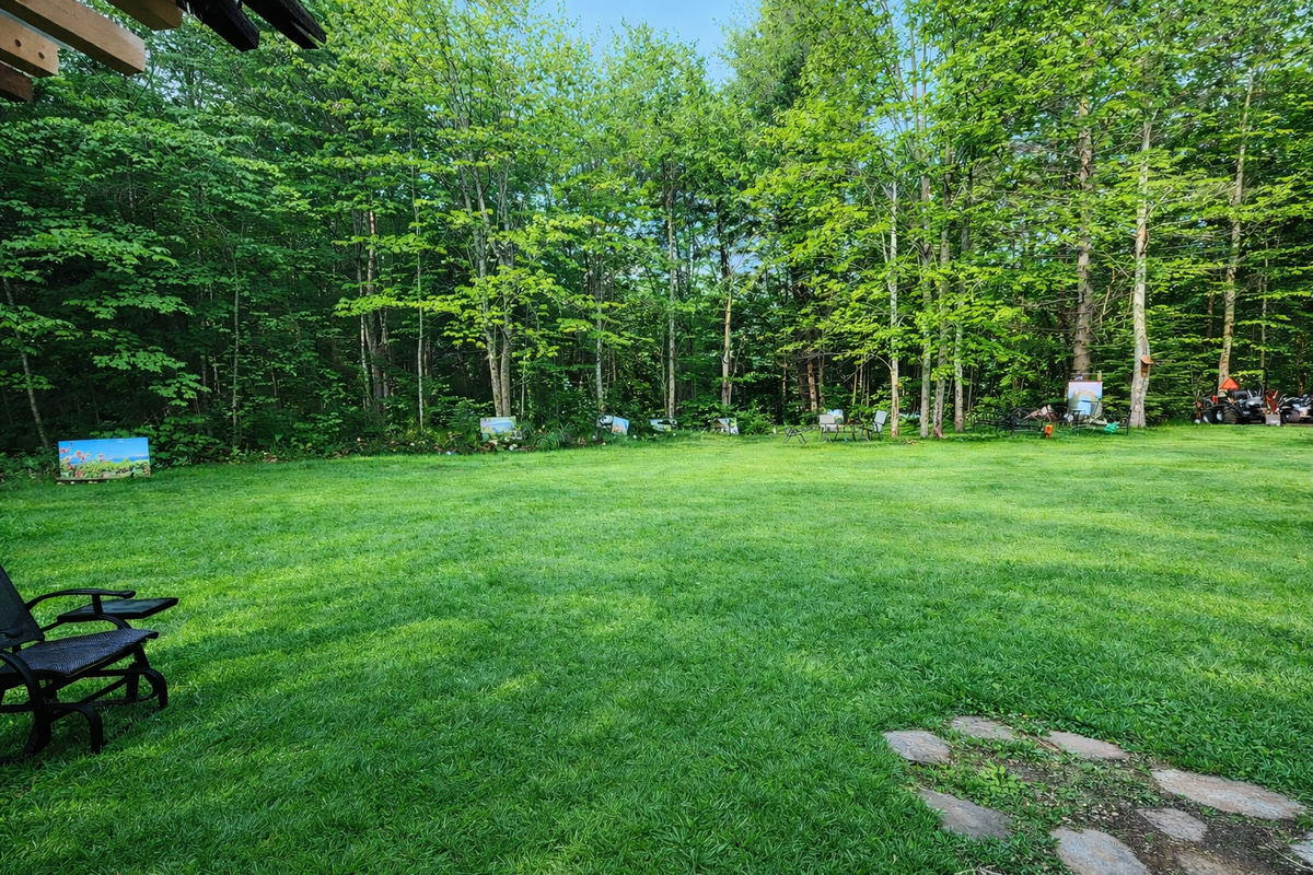 Backyard, backing on to private woods