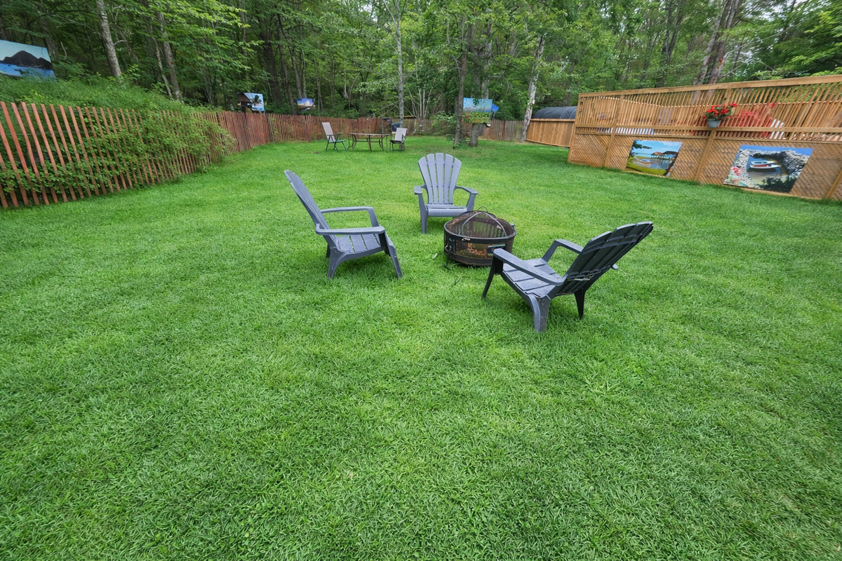 Backyard, backing on to private woods