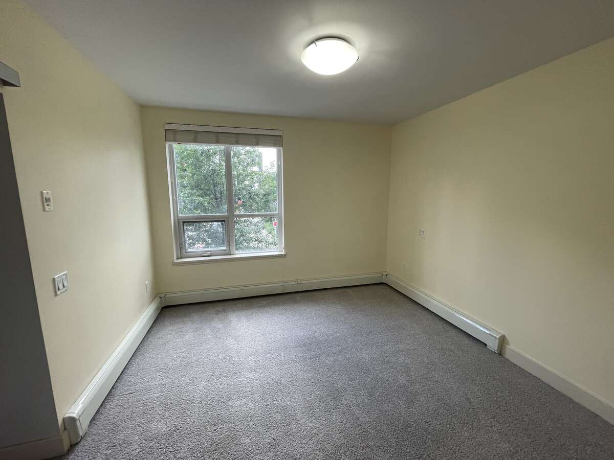 12'11" x 11'3" bedroom, south facing view. large enough for king size bed.