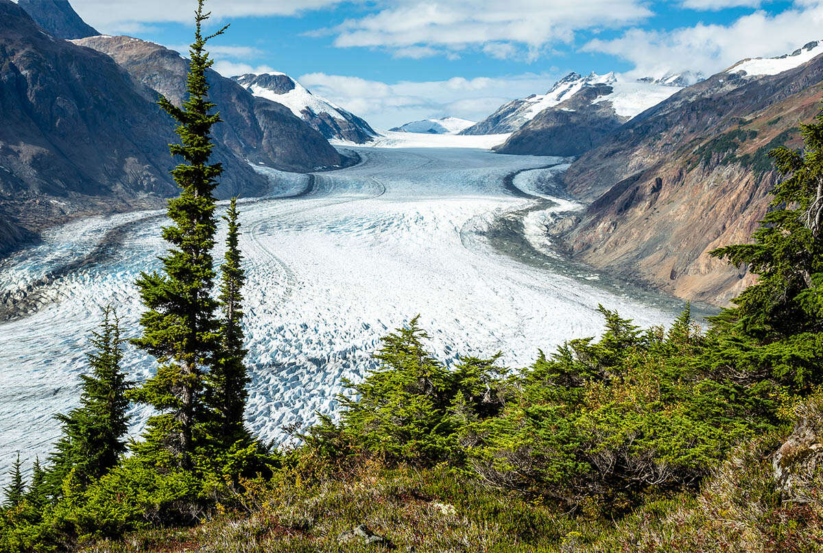 Spectacular glaciers nearby
