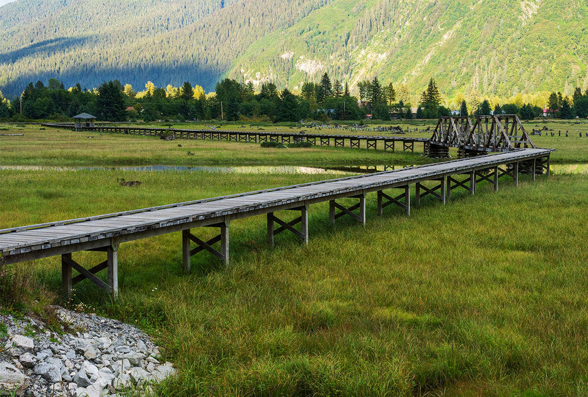 Peaceful estuary boardwalk