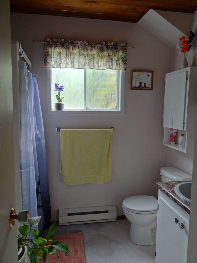 Bathroom Downstairs