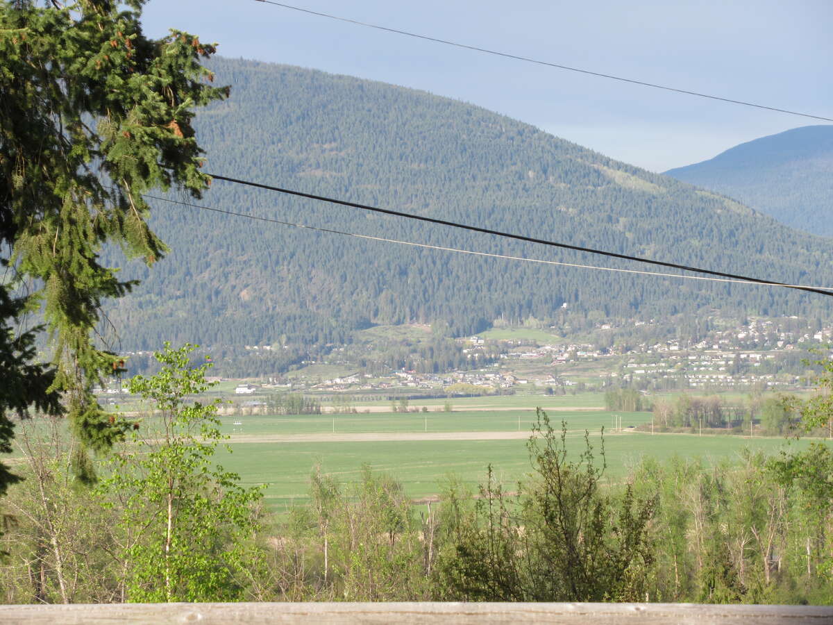 Creston Valley View