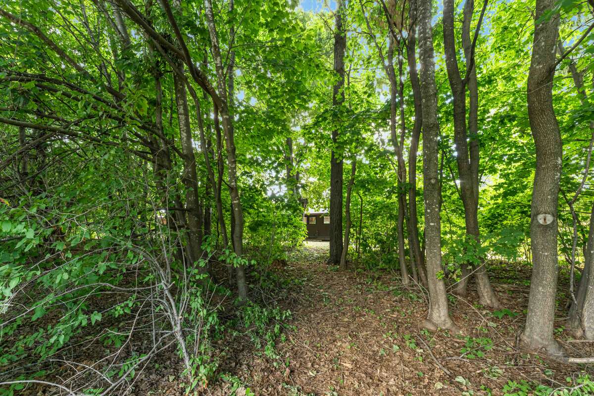 path to Gow Park and Stephen Leacock PS