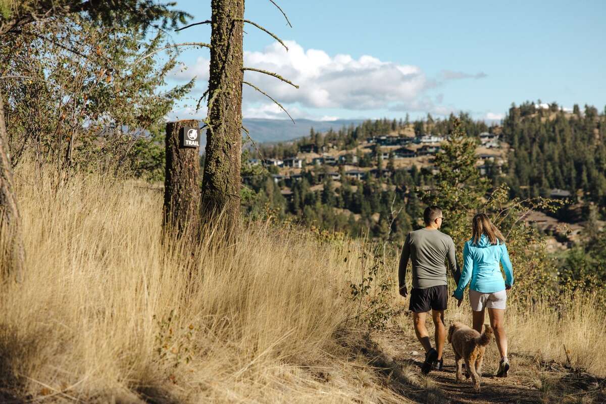 35km+ of Predator Ridge maintained multi-use trails + 40km additional trails in Ellison Park