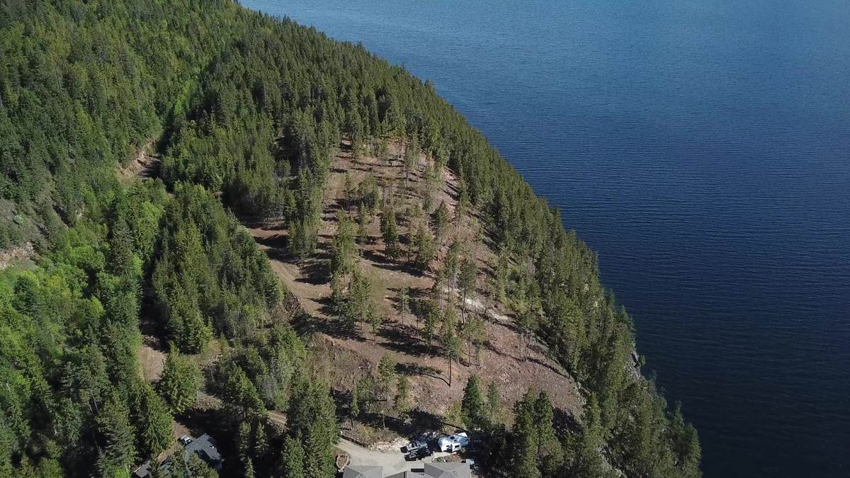 Acreage / Recreational Property / Vacant Land / Waterfront Property For Sale in Kaslo, BC