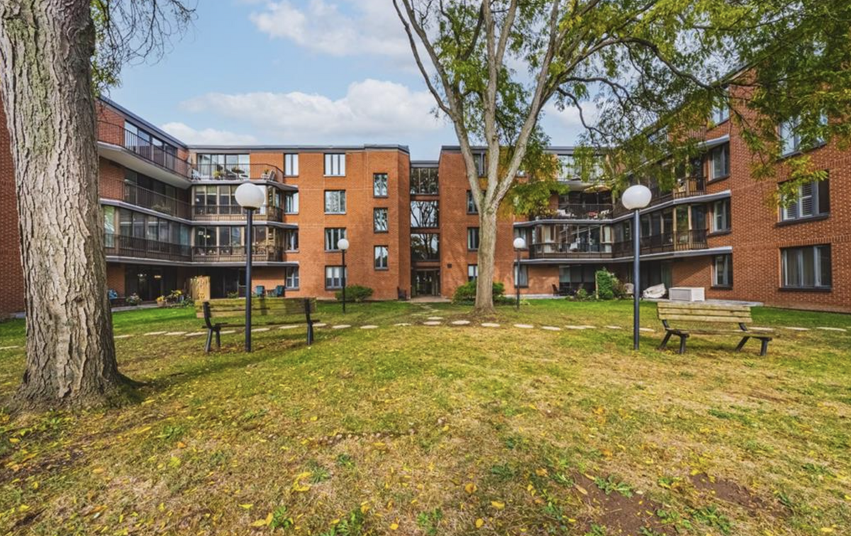 Shared Courtyard